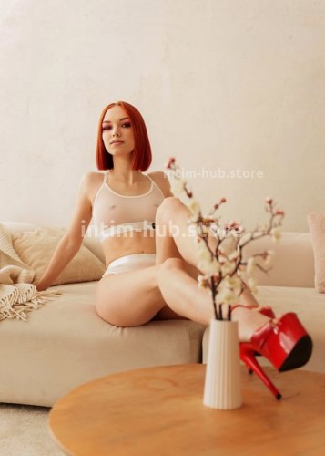 Лиса, Г. Сальск